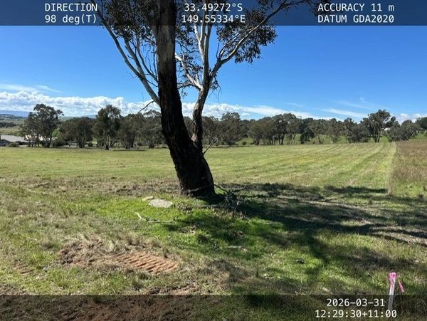 A solitary tree in a grassy field under a clear blue sky with GPS coordinates overlay.