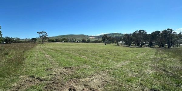 Wide open grassy field under clear blue sky with distant hills and trees.