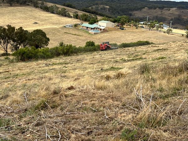 Rural landscape with a house, trees, and a red tractor on dry grass.