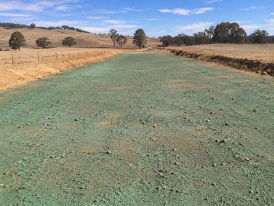A rural dirt road covered with green hydroseeding mixture.