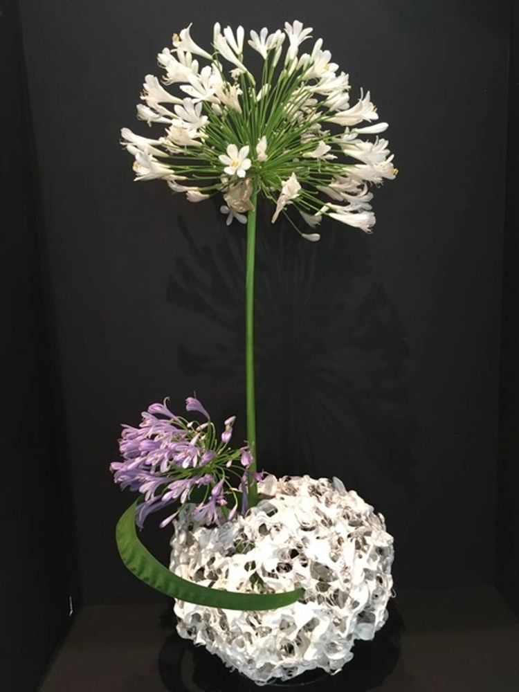 Japanese Flower Arranging Ikebana Houston Chapter 12