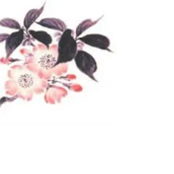 II sakura logo, cherry blossom, 