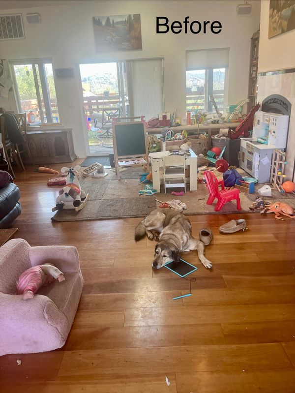 Messy living room with toys and a dog.