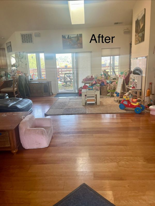 Clean and organized living room space.