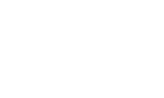 Perfectionist Detailing