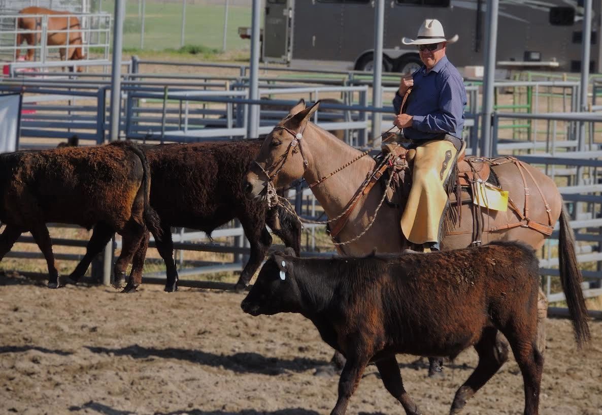 Morgalidays Rodeo Event Info