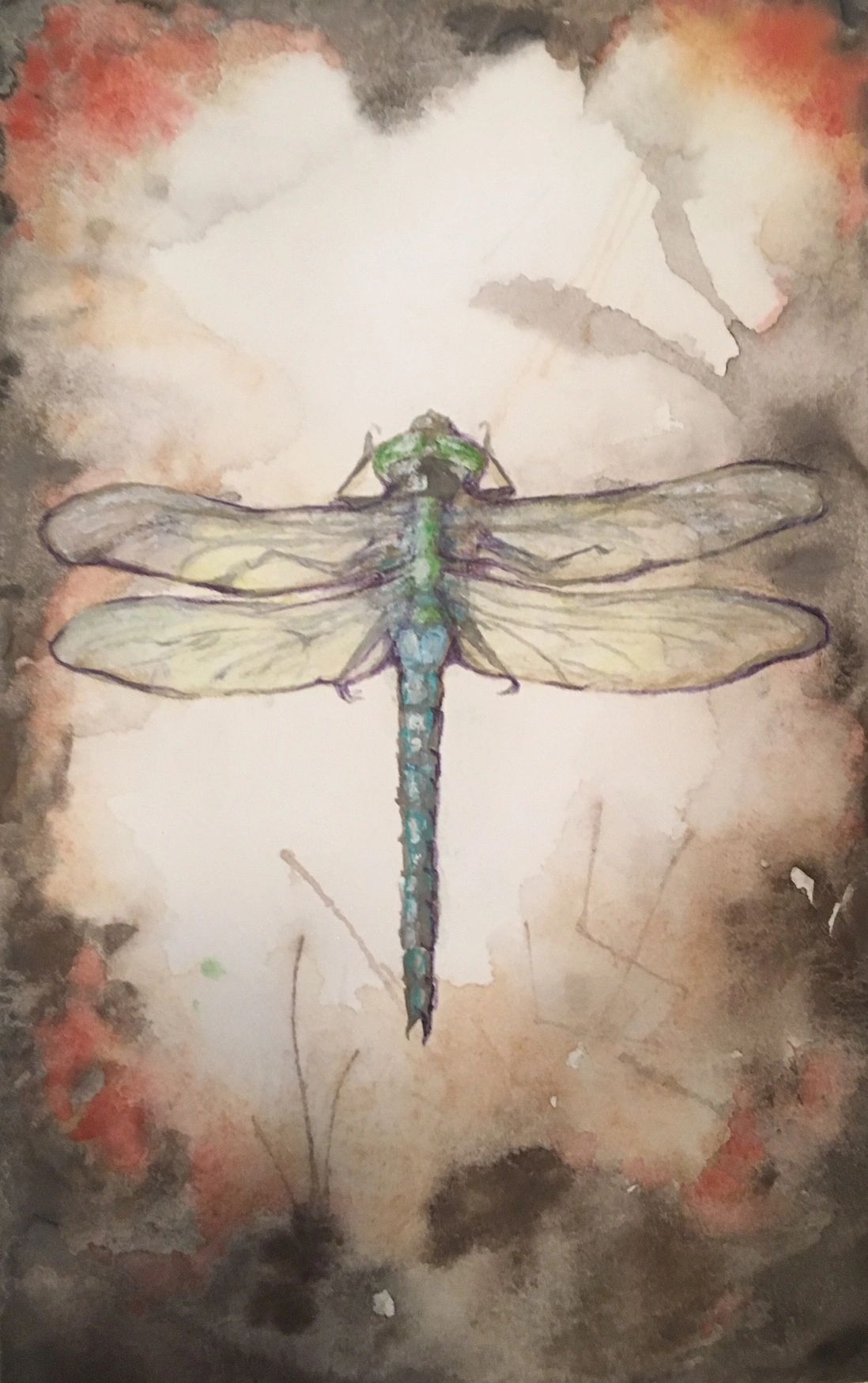 Mixed media painting of dragonfly