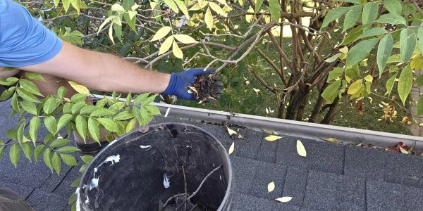 gutter repair, eavestrough repair, gutter cleaning, eavestrough cleaning, gutter guards, murray pro 