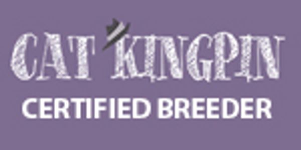 Certified catkingpin breeder. 
