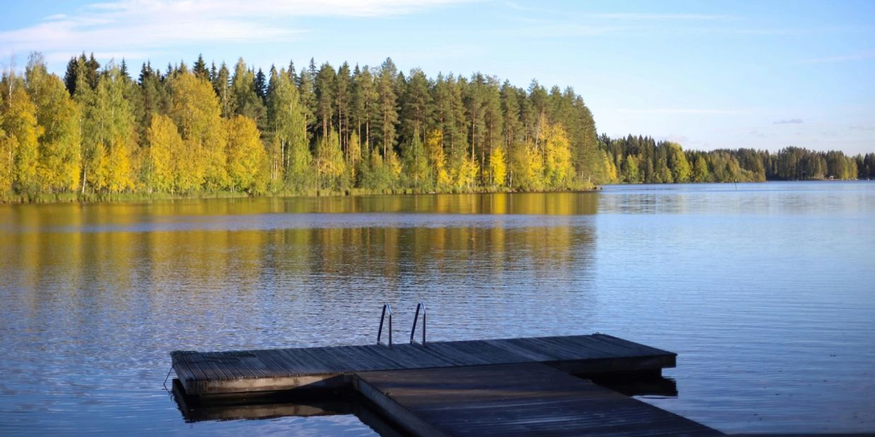 Wooden dock on calm lake with forest in background.