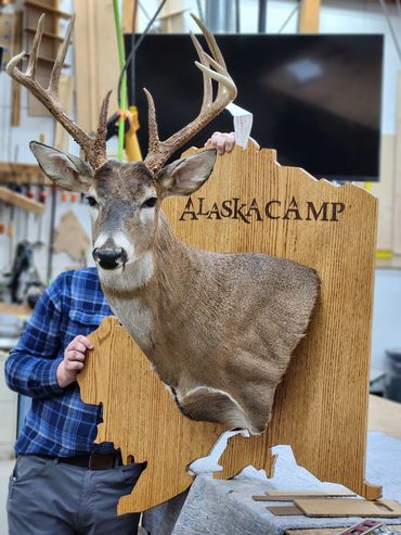 State of Alaska cut out for Deer mount