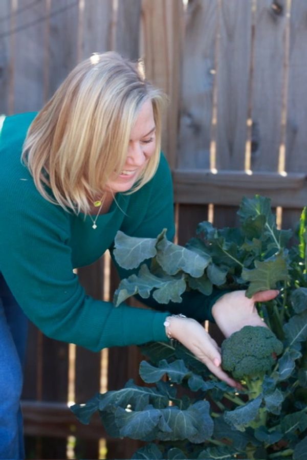 Woman admiring freshly grown broccoli in garden.