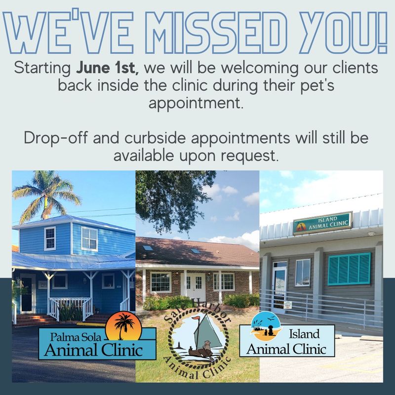 Safe Harbor Animal Clinic Veterinarian South Bradenton Florida