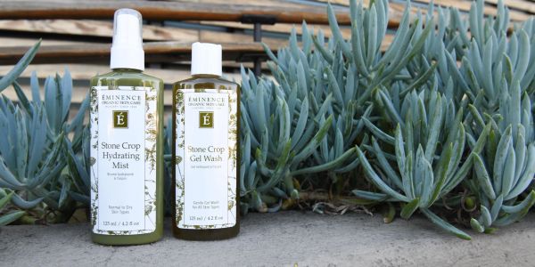 Eminence Stone Crop skincare products displayed outdoors with succulent plants.