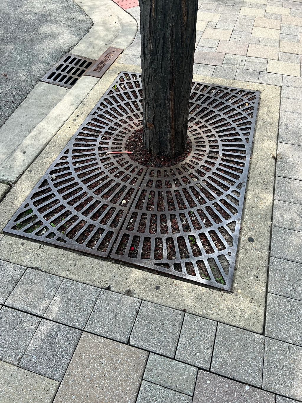 Tree Gratings