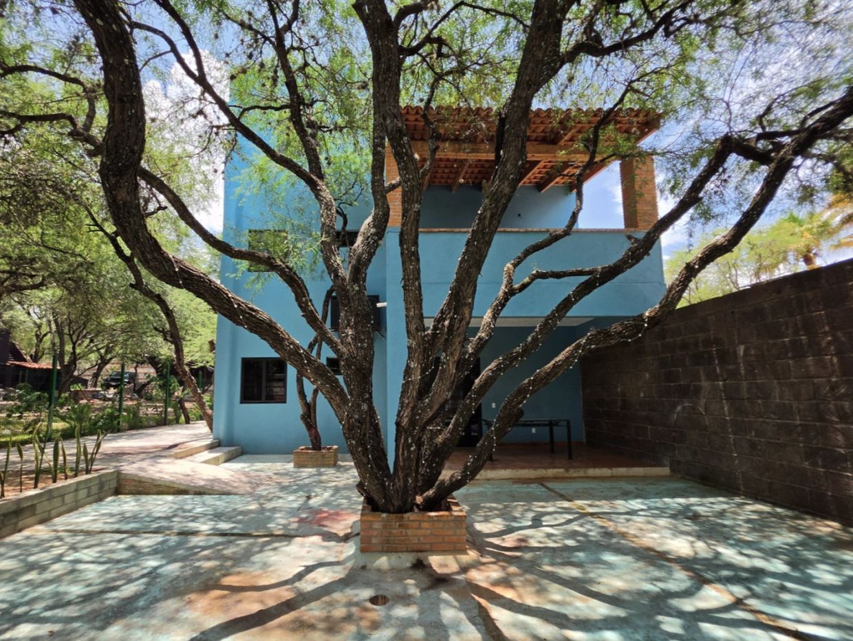 Casa azul con árbol grande en el patio.