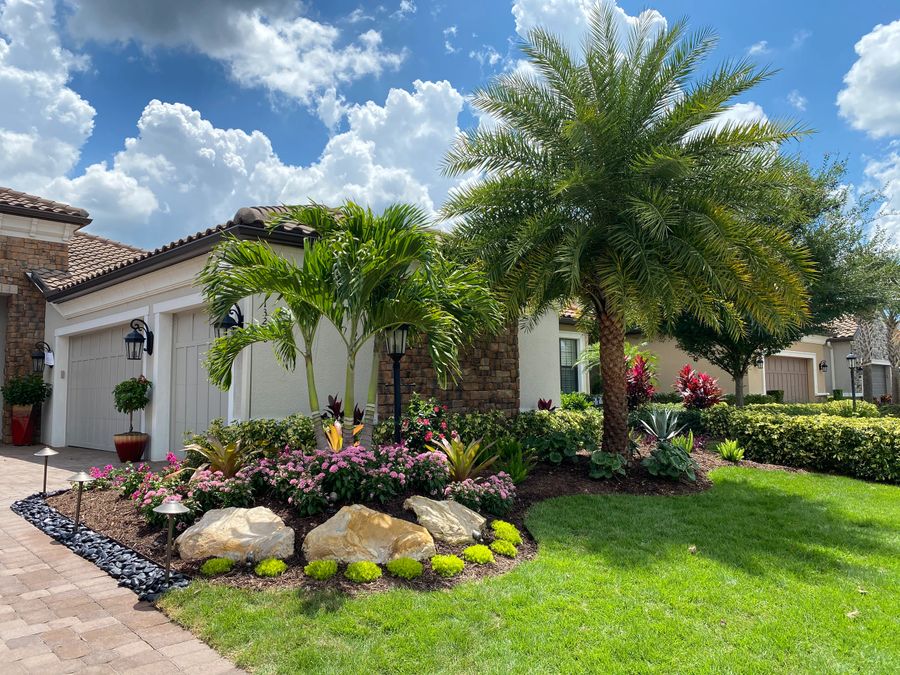 Florida home with palm trees and tropical garden