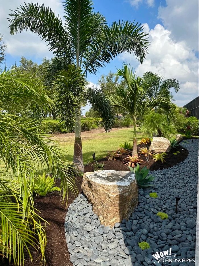 WOW Landscapes portfolio — palm trees with boulder and river rock