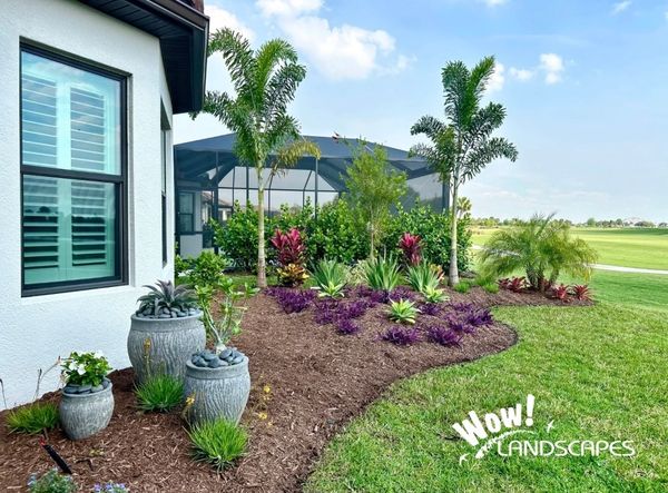 Home side yard with tropical garden and palms
