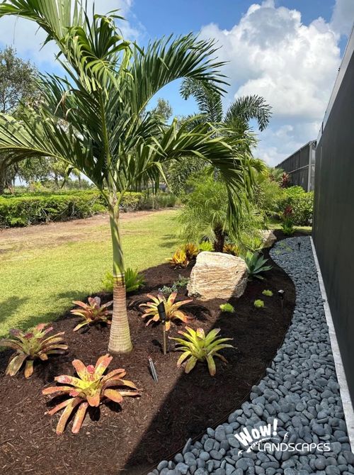 WOW Landscapes portfolio — palm with bromeliads and river rock