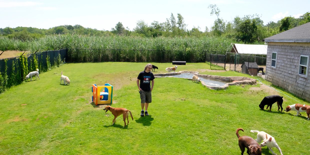 Paws 4 Play Dog Daycare in Salisbury, Dog Daycare in Newburyport