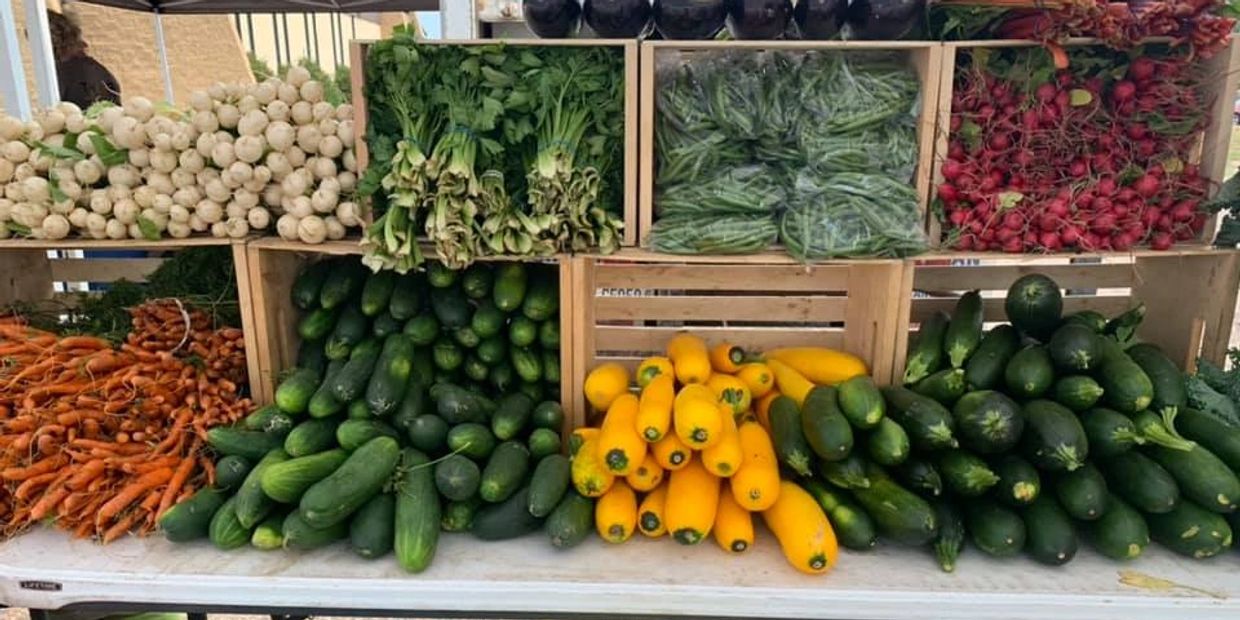 Thompson Produce & Greenhouse