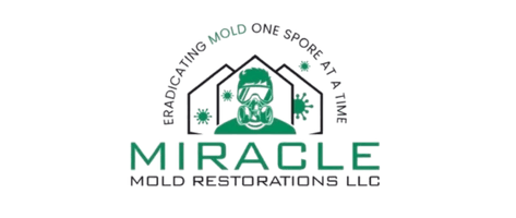 Miracle Mold Restorations