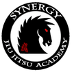 Synergy Jiu-Jitsu Academy