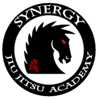 Synergy Jiu-Jitsu Academy