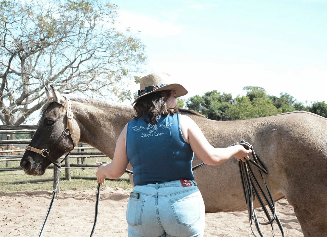 Educação Física Escolar: O CAVALO