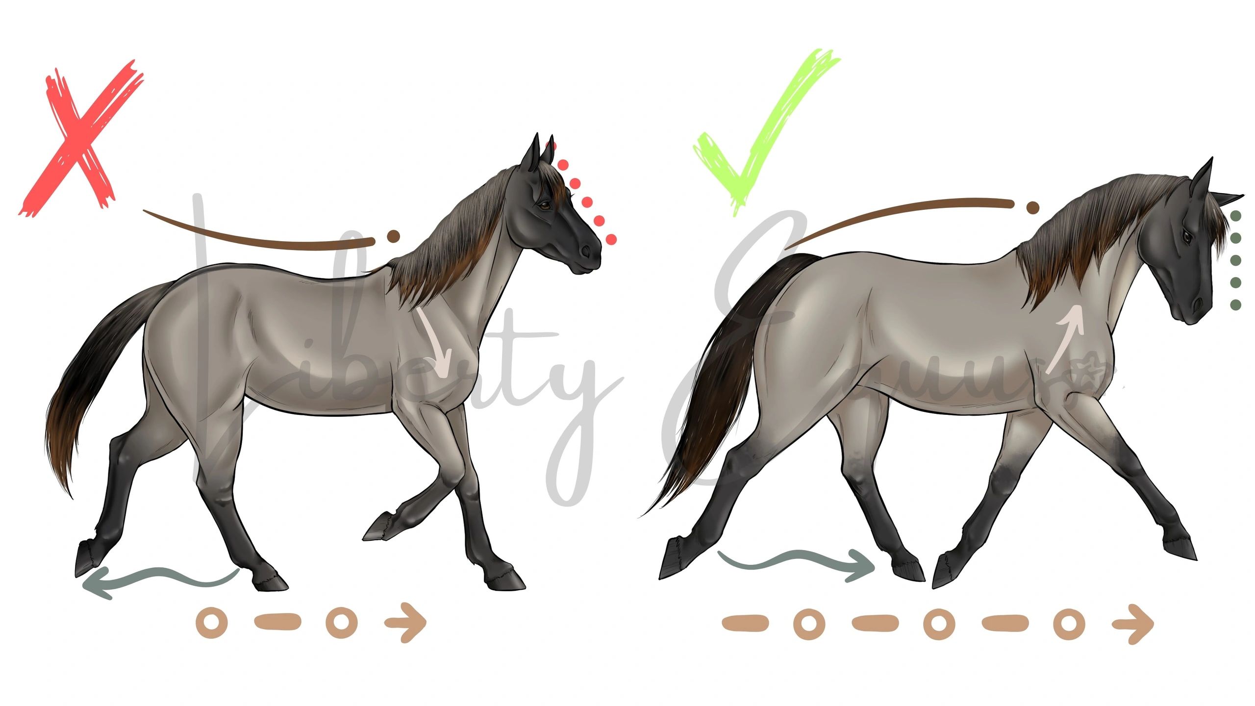 Montar Cavalos na Terceira Idade – Realidade ou Ficção? - Assessoria Animal