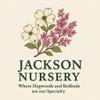 jacksonnursery.net