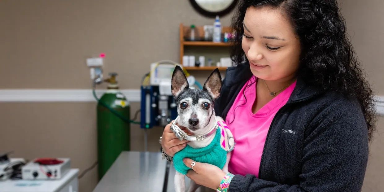 a woman looking at a cute dog 