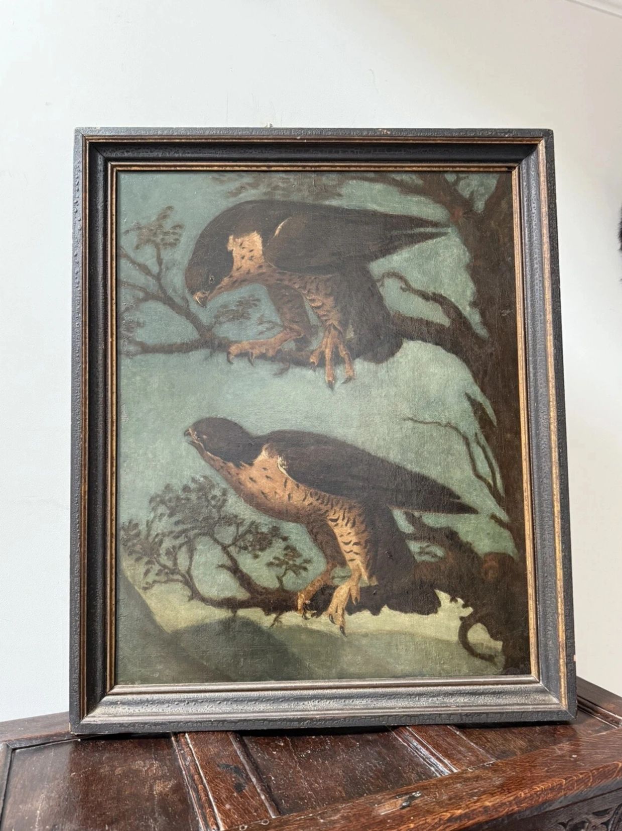 Painting of two hawks perched on tree branches against a greenish background.