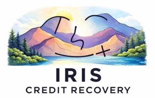 Irish credit recovery