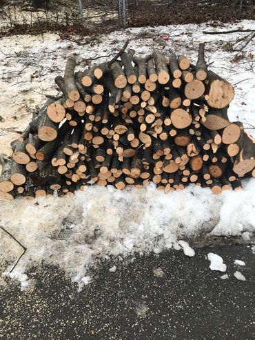 Cut firewood from tree removal job in Mississauga 