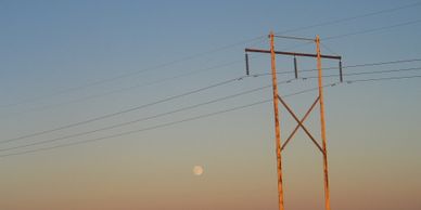 Antler Bay Environmental Consulting Team's transmission line project.