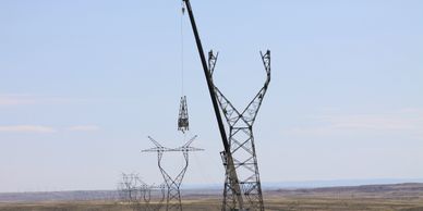 Antler Bay Environmental Consulting Team's transmission line project.