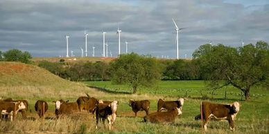 Antler Bay Environmental Consulting's wind power project.