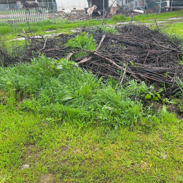 Junk removal-Junk pickup-Hot tub removal-Junk haulers-Couch removal-Mattress removal-Green waste