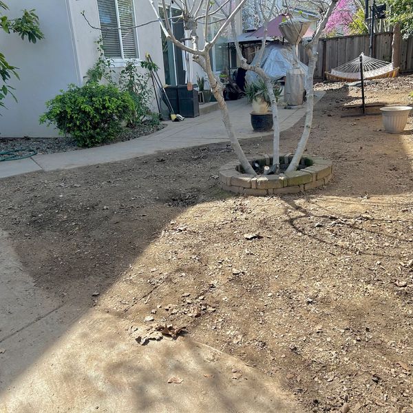 Junk removal-Junk removal-Yard clean out-Green waste pickup-Morgan hill-Gilroy-San Jose-Junk haulers
