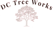 DC Tree Works