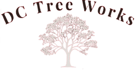 DC Tree Works
