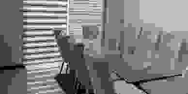 image21