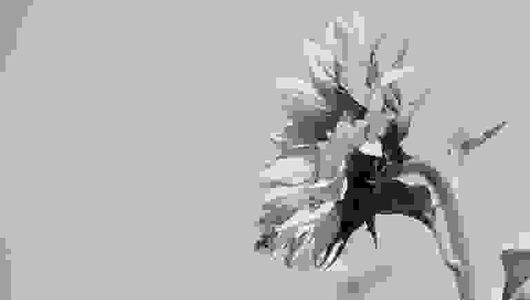 
Photo by Tatiana Reusche on Unsplash