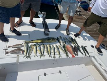 Naples Deep Sea Fishing Photos  Off Her Radar Fishing Charters