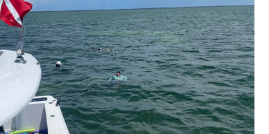 PRIVATE SCALLOP TRIPS AROUND THGE BAY AND COAST HUDSON CRYSTAL RIVER HERNANDO BEACH ANCLOTE KEY