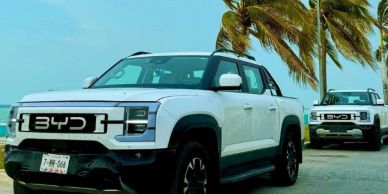 Two white BYD electric SUVs parked by the beach with palm trees.