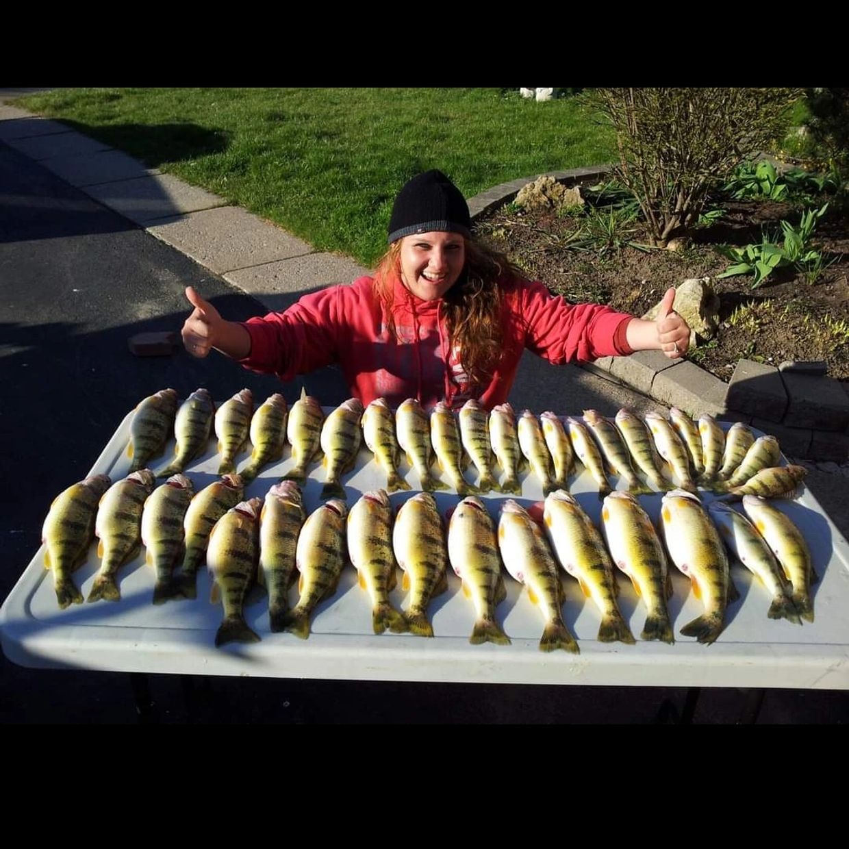 Experience Exciting Walleye Fishing on the Niagara River