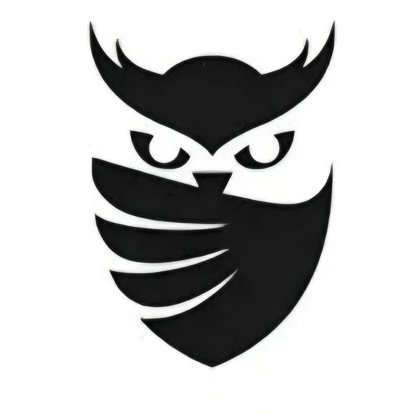 Black stylized owl face with intense eyes and a bandana covering its beak.